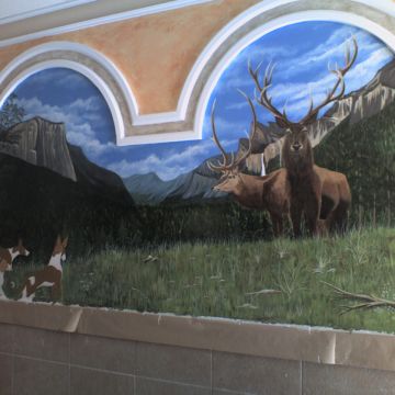 ArtMirr Murales pintura y decoracion - Tarancón - Pintura de exteriores