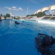 REVIVE - Cangas - Clases privadas de natación (para mí o mi grupo)