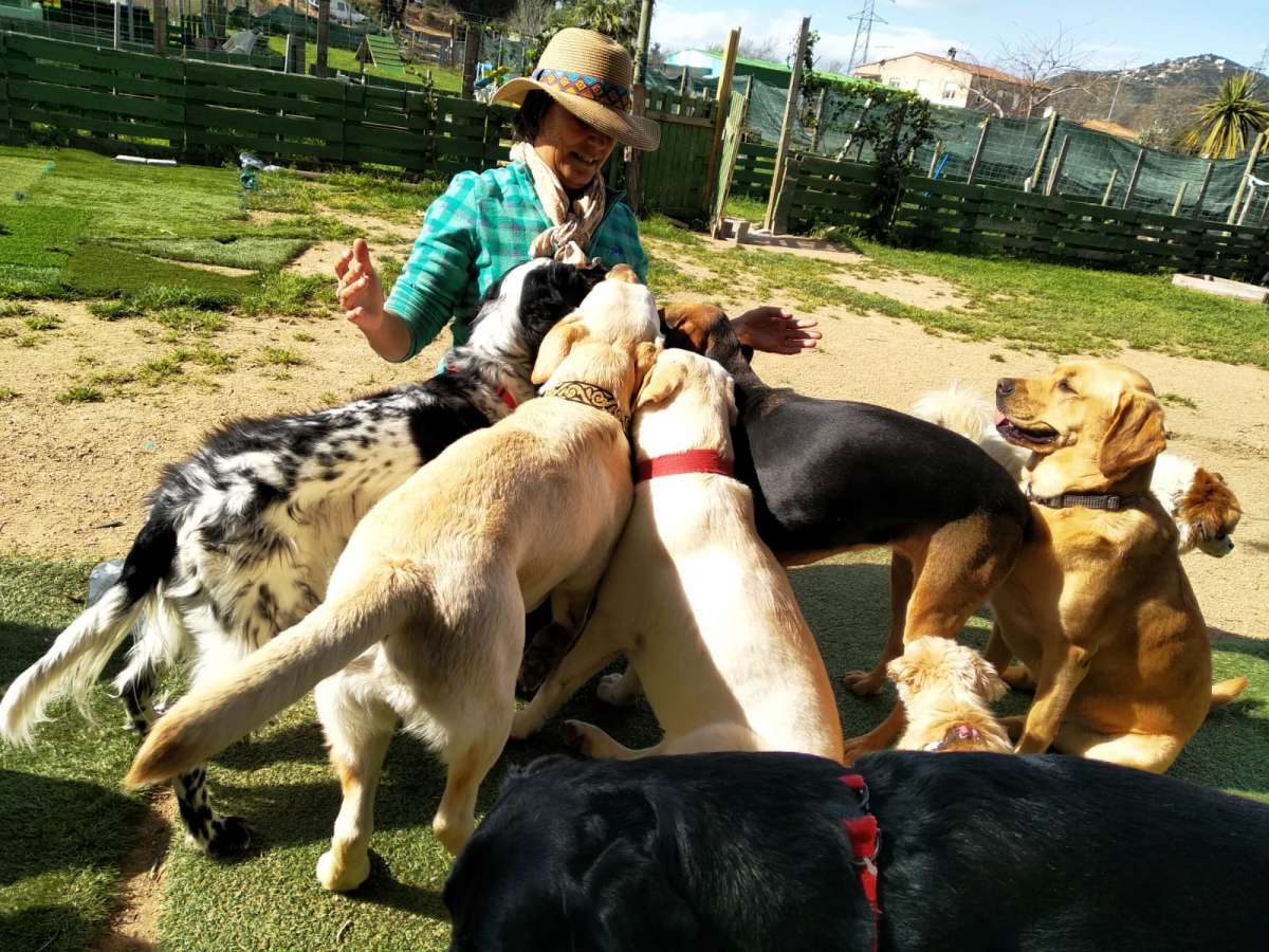 Happy animales - Castell-Platja d'Aro - Entrenamiento de animales y modificación de la conducta (no caninos)