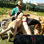 Happy animales - Castell-Platja d'Aro - Entrenamiento de animales y modificación de la conducta (no caninos)