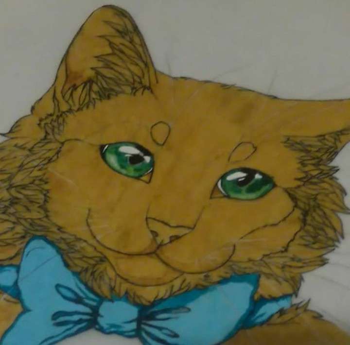 Jonatan Sánchez Arévalo - El Vendrell - Cat Sitting