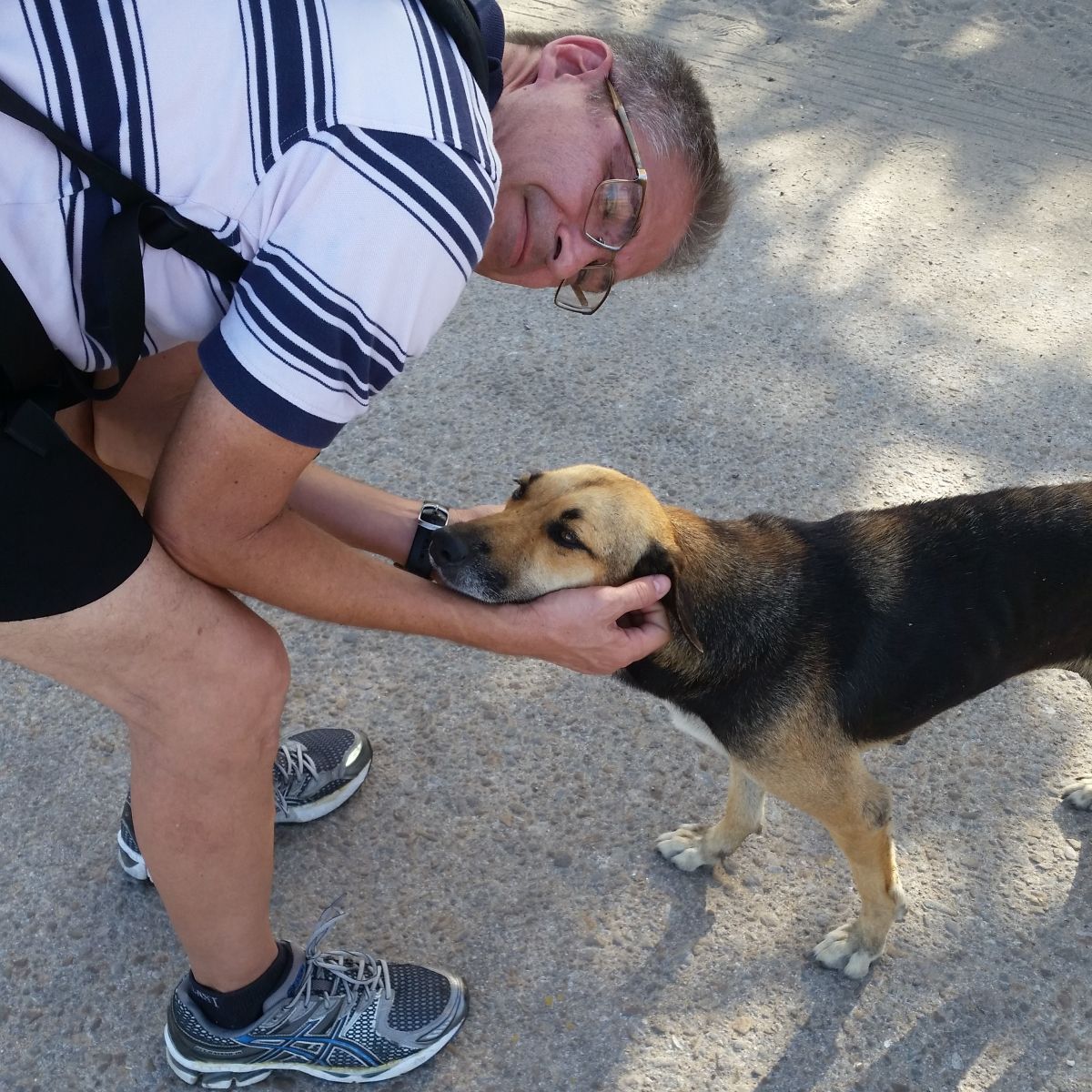 Jose Martin - Madrid - Paseador de perros