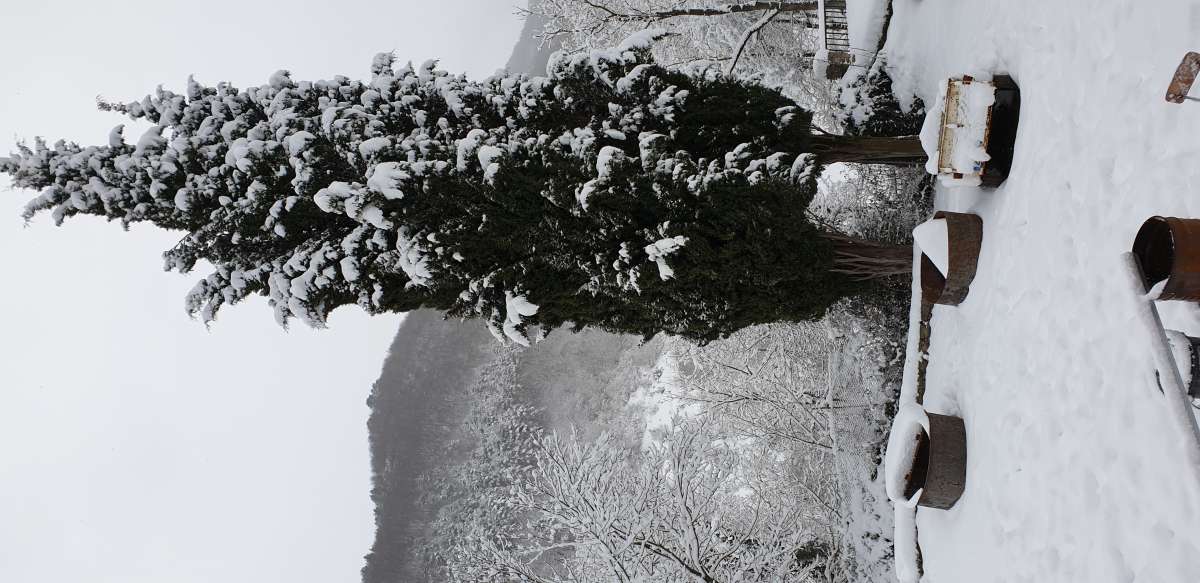 Natalia - Cornellà de Llobregat - Limpieza de primavera