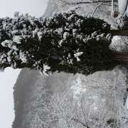 Natalia - Cornellà de Llobregat - Limpieza de primavera