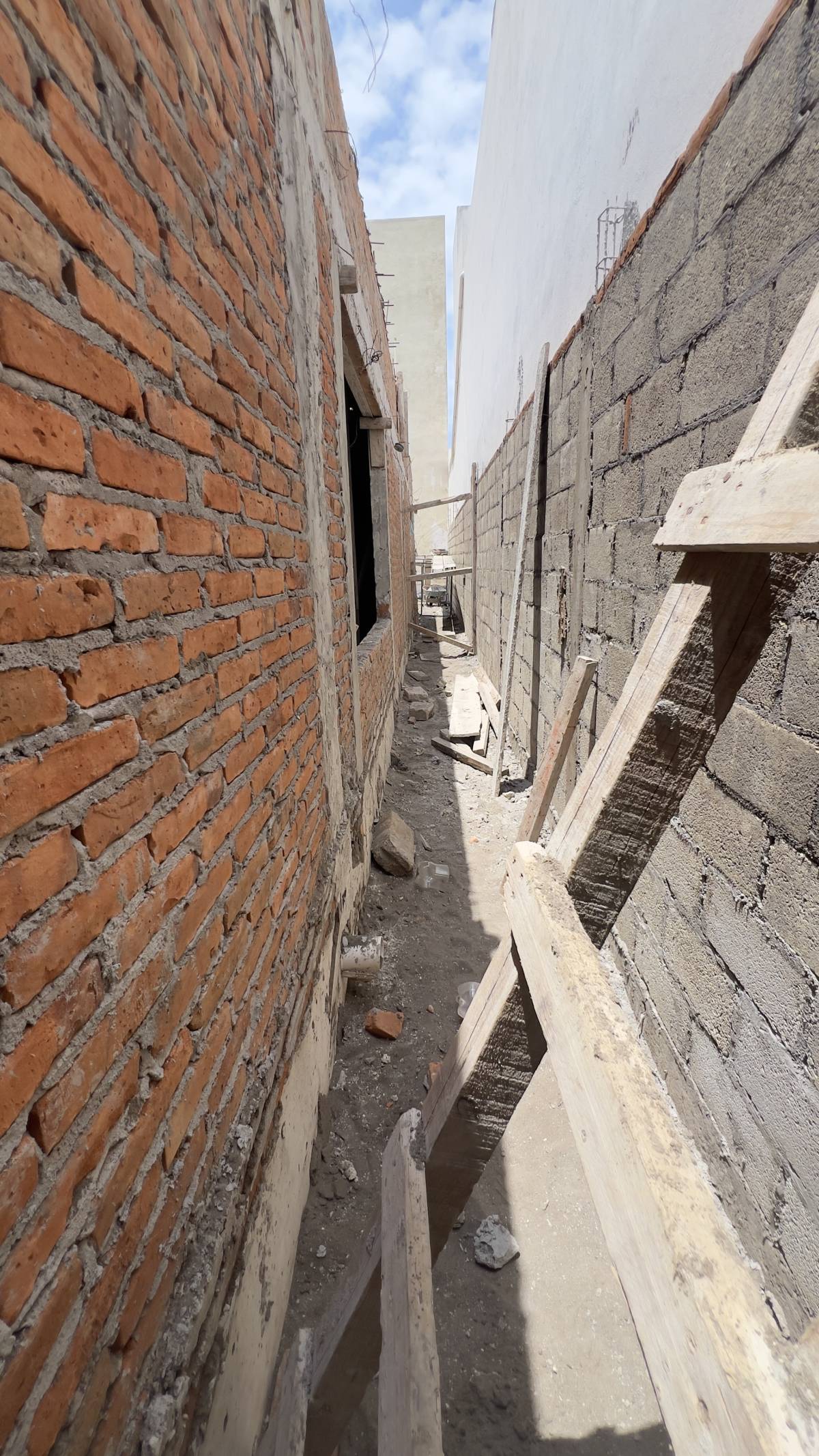 Bonobo Interiores - Veracruz - Mantenimiento del sistema de riego por goteo