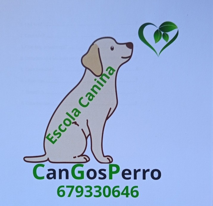 CanGosPerro, Escola Canina - Olesa de Montserrat - Paseador de perros