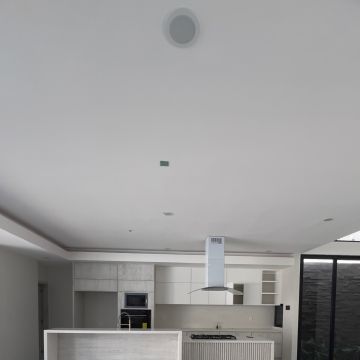 Bonobo Interiores - Veracruz - Servicios de invernadero