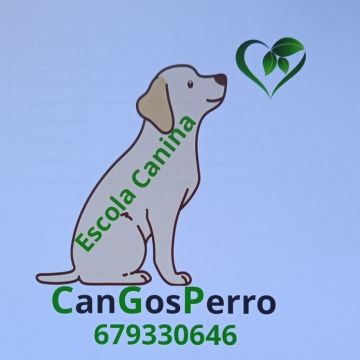 CanGosPerro, Escola Canina - Olesa de Montserrat - Paseador de perros