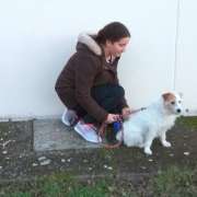 Podendogs - Rivas-Vaciamadrid - Paseador de perros