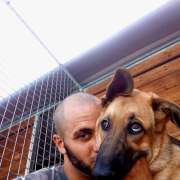 Manuel Dogman - Alcorcón - Cuidado de mascotas