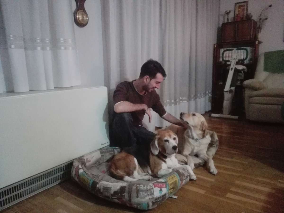Sergio Martin @Perrologomadrid - Madrid - Cuidar tus mascotas