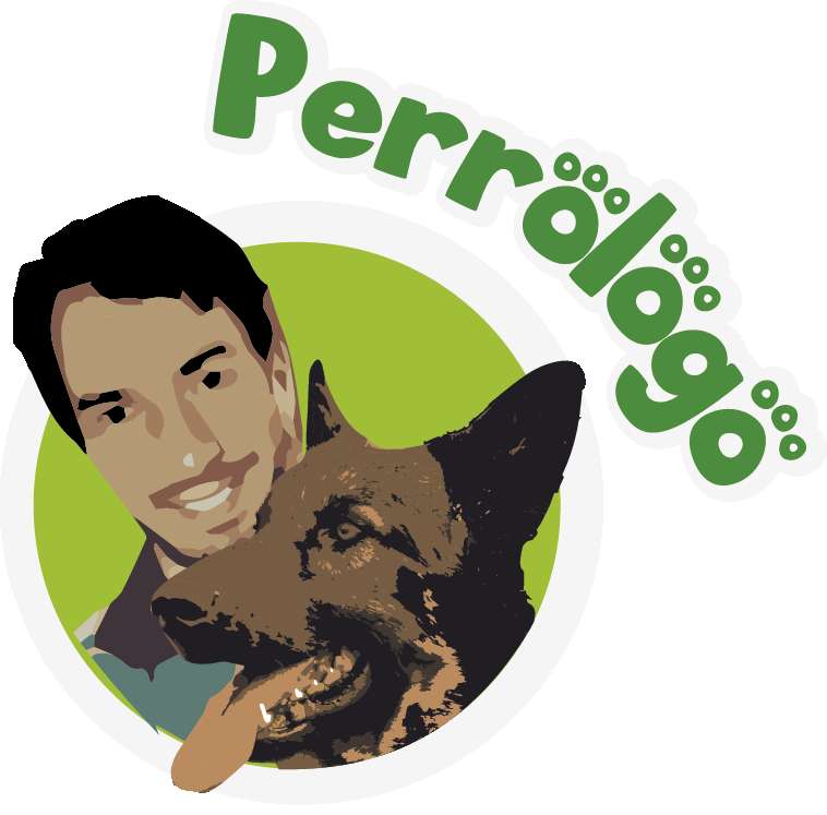 Sergio Martin @Perrologomadrid - Madrid - Hospedaje de perros