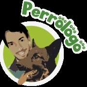 Sergio Martin @Perrologomadrid - Madrid - Hospedaje de perros