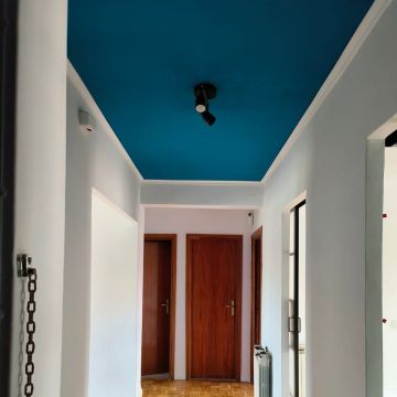 NELAMONS CONSTRUCCIONES, REFORMAS Y PROYECTOS INMOBILIARIOS SLU - Madrid - Pintura de exteriores