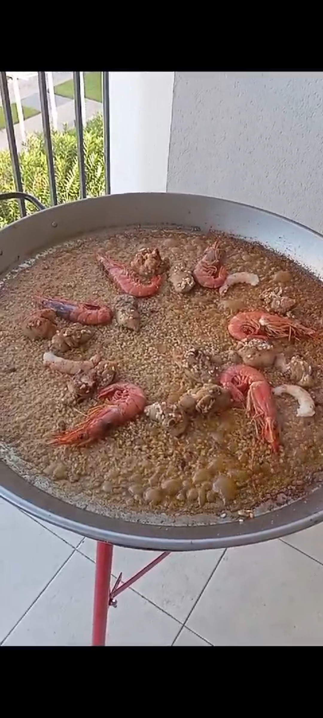 B&K Paellas y Arroces Únicos - Dénia - Siembra