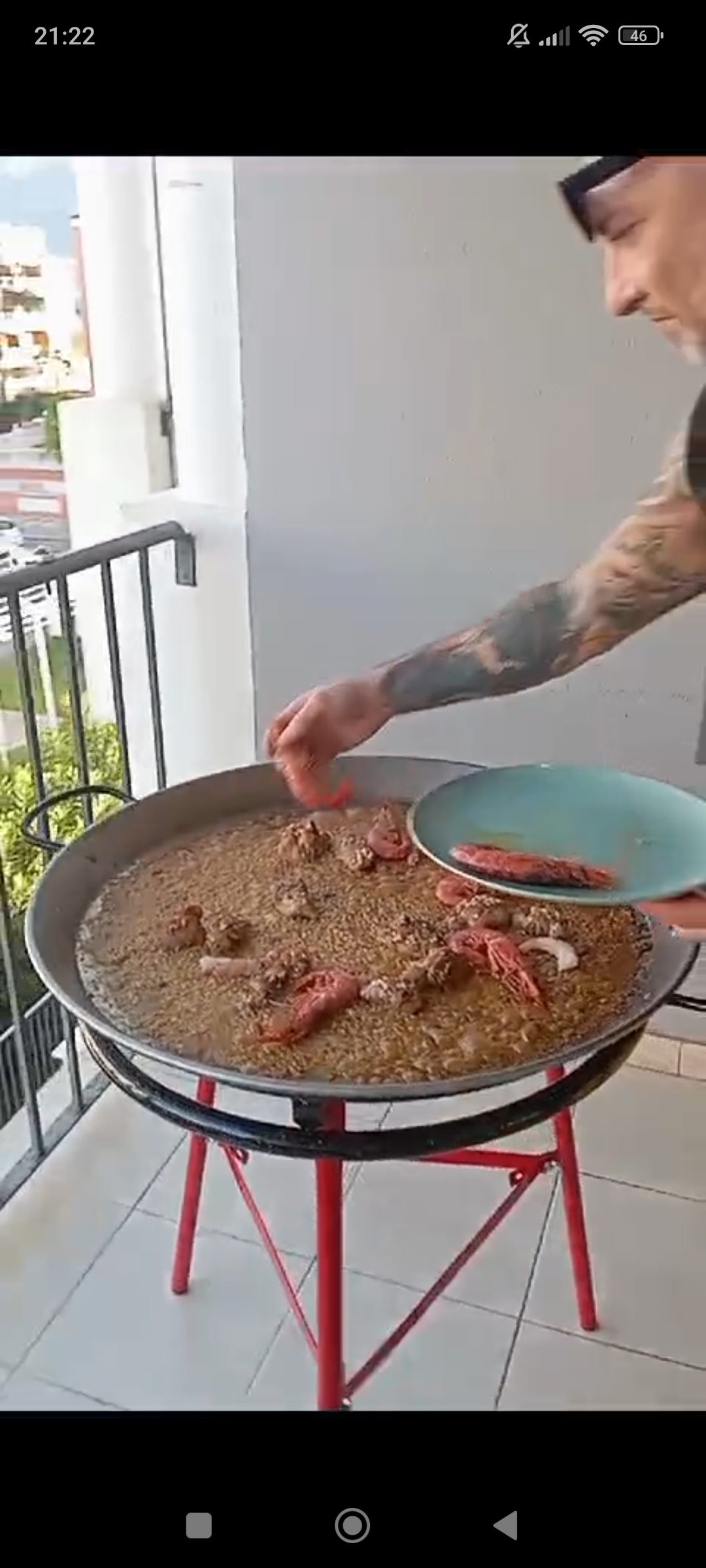 B&K Paellas y Arroces Únicos - Dénia - Trituración y eliminación de tocones