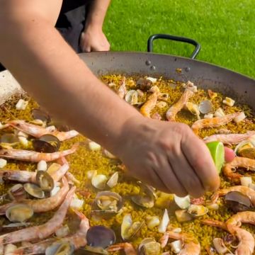 B&K Paellas y Arroces Únicos - Dénia - Poda y mantenimiento de árboles