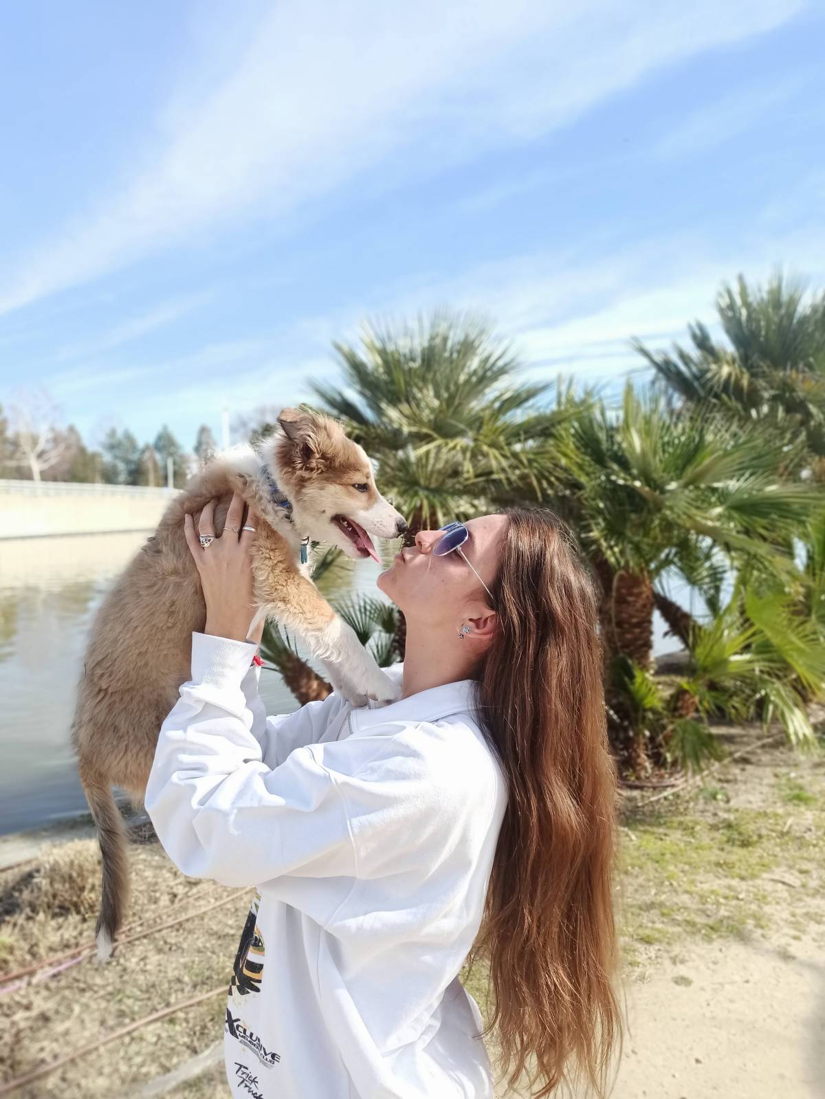 Como en casa - Coslada - Dog Daycare