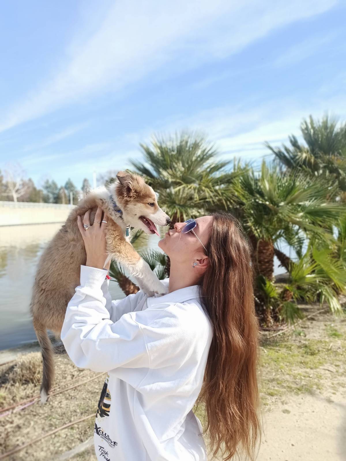 Como en casa - Coslada - Guardería para perros