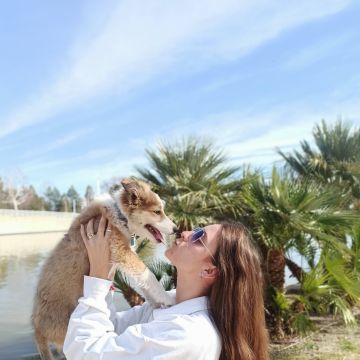 Como en casa - Coslada - Guardería para perros