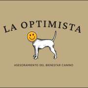 La optimista - Madrid - Adiestramiento de perros - Clases privadas