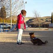 Macarena Medina - Madrid - Adiestramiento de perros - Clases privadas