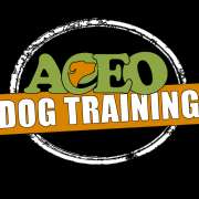 ACEO Madrid - Madrid - Adiestramiento de perros - Clases privadas