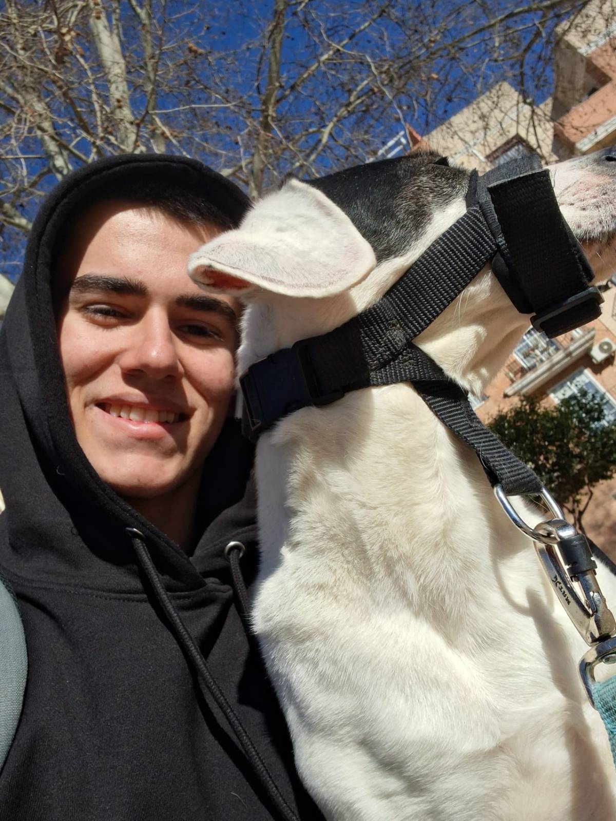 Marcel - Valencia - Adiestramiento de perros - Clases privadas