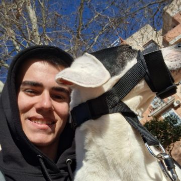 Marcel - Valencia - Adiestramiento de perros - Clases privadas