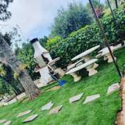 cris-mar limpieza y jardineria - Móstoles - Siembra