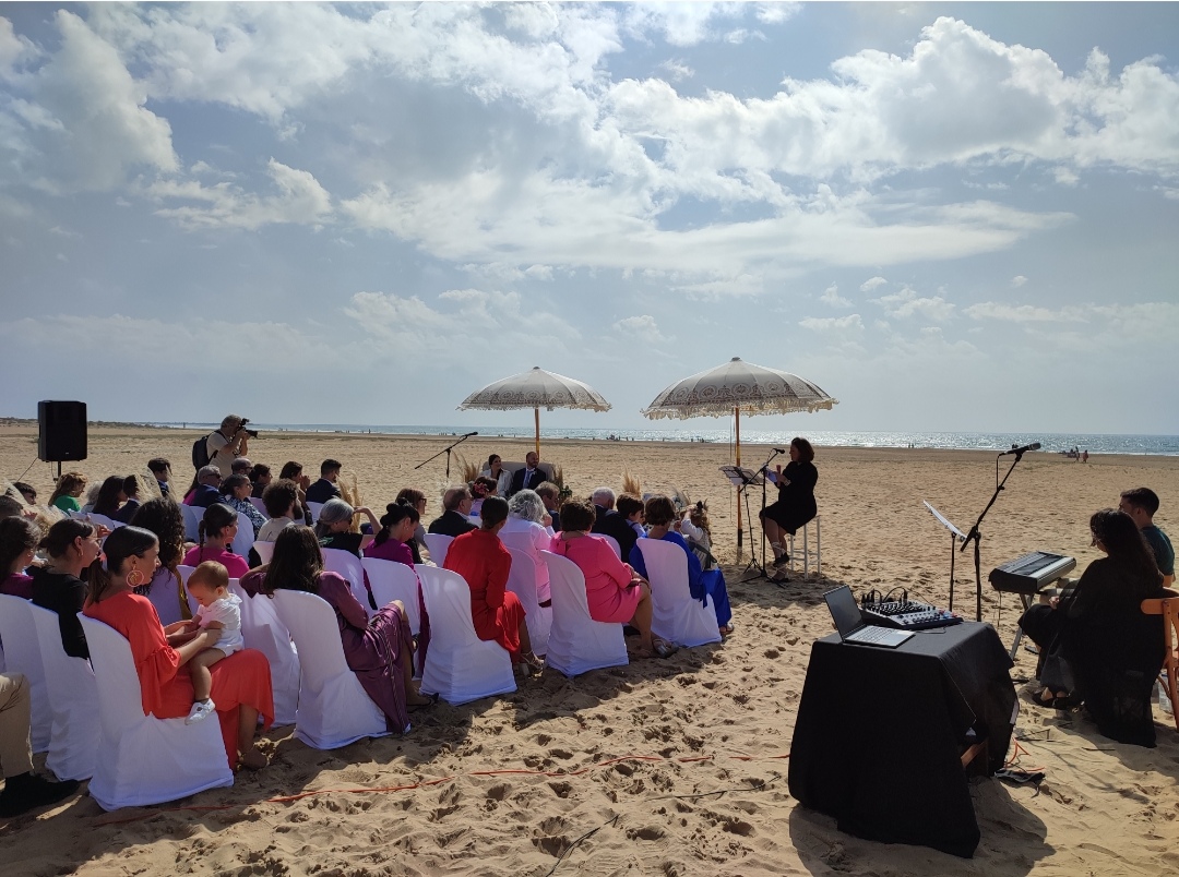 SE PRO AUDIO - La Palma del Condado - Video Equipment Rental for Events