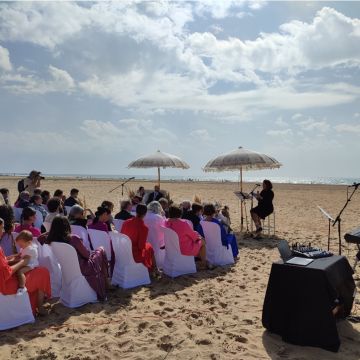 SE PRO AUDIO - La Palma del Condado - Video Equipment Rental for Events