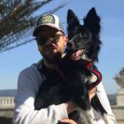 Bruno - Madrid - Adiestramiento de perros