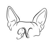 Alfa Psicología Canina - El Vendrell - Guardería para perros