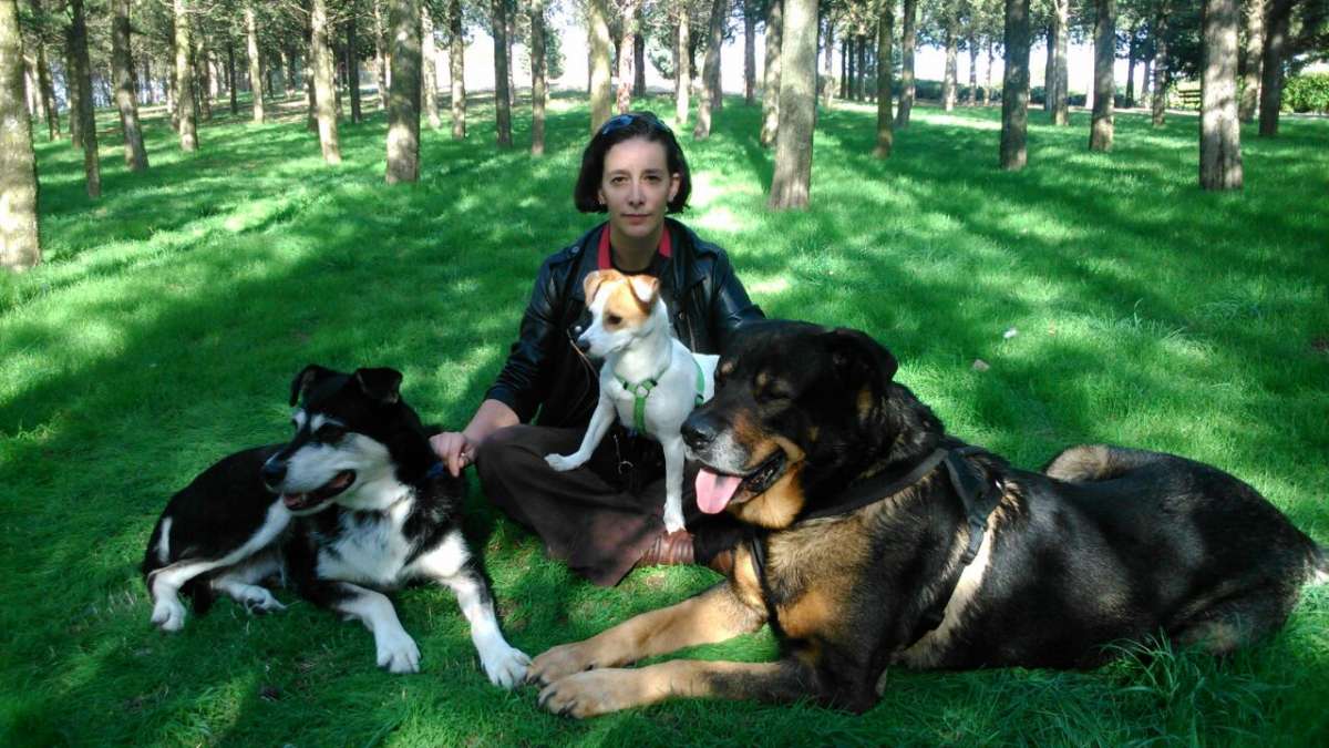 Rebeca hm - Meco - Adiestramiento de perros