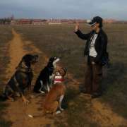 Rebeca hm - Meco - Cuidados y paseos de mascotas