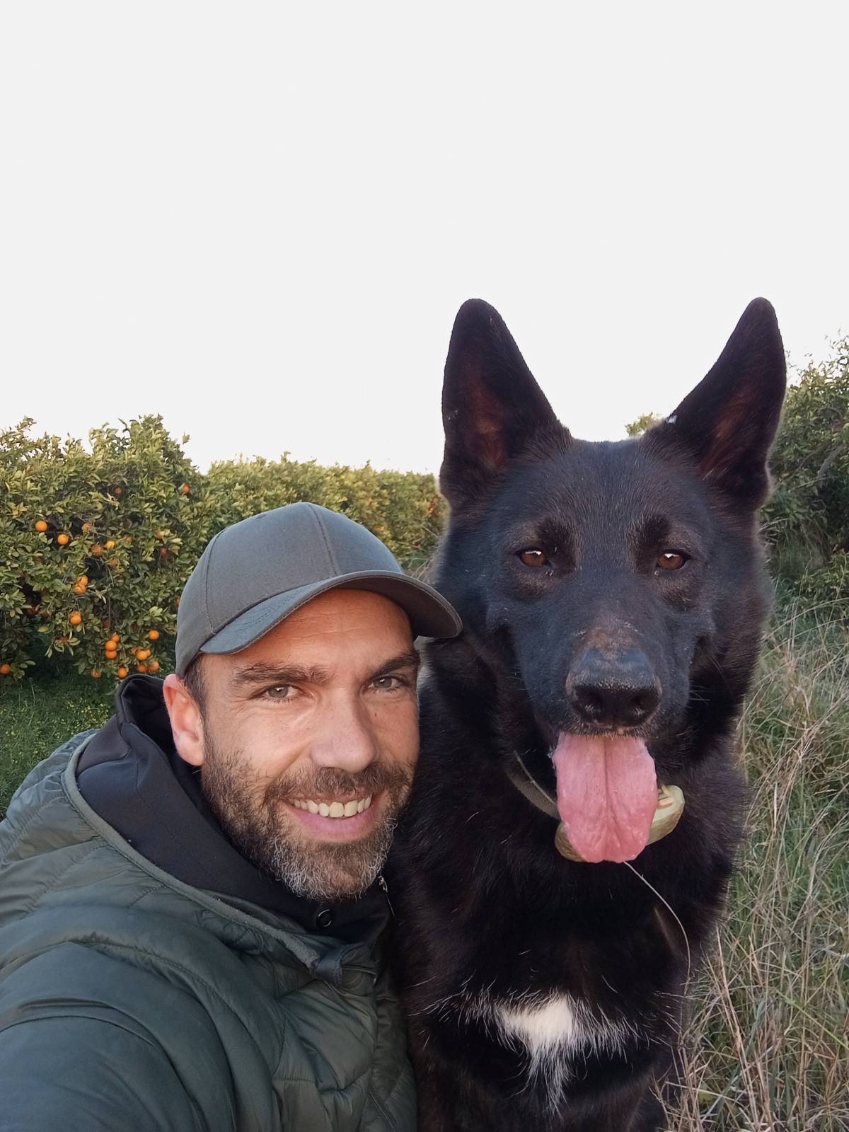 Naturdog - Torrent - Paseador de perros