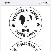 Súper Chulo - Alcobendas - Cuidado de mascotas