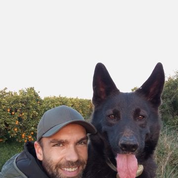 Naturdog - Torrent - Paseador de perros