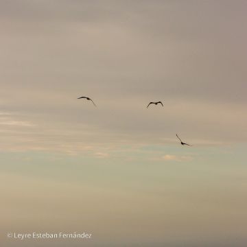 Leyre Esteban Fernández - Madrid - Fotografía de eventos