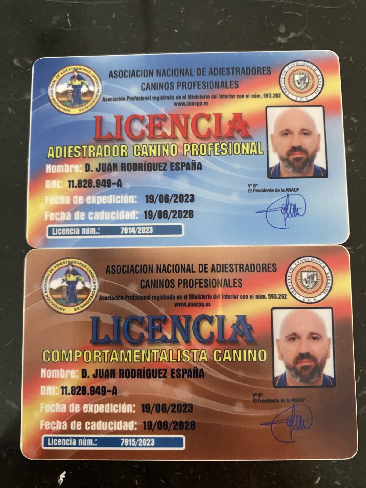 Juan Rodríguez (Juanperro) - Albufeira - Hundeausführung