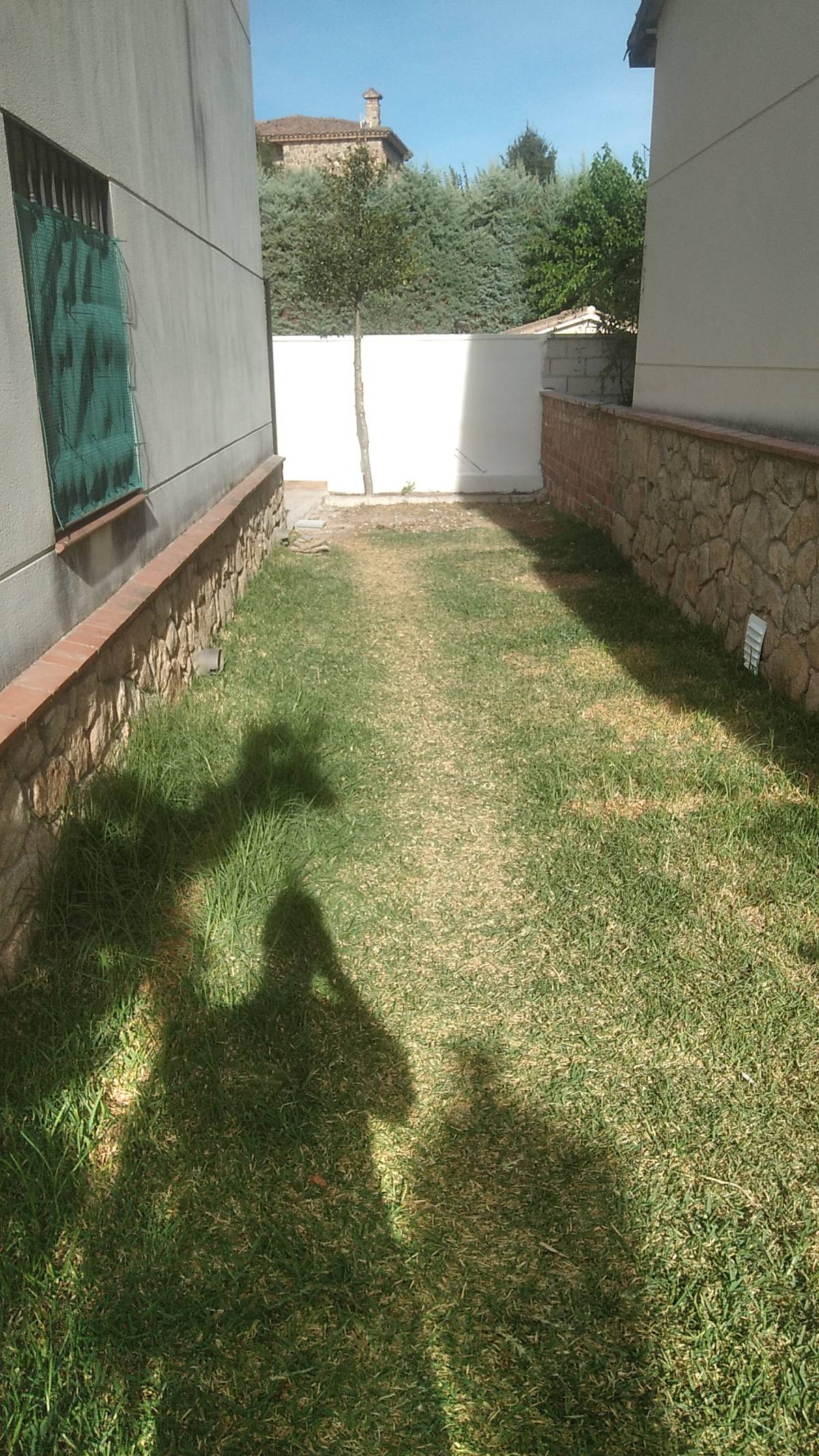 DEPAULA SERVICIOS - Candeleda - Tree Trimming and Maintenance