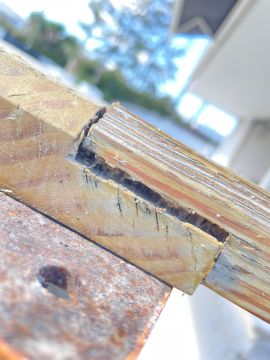 Furniture Repair Professional