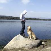 TaoCan Adiestramiento canino - Madrid - Cuidar tus perros