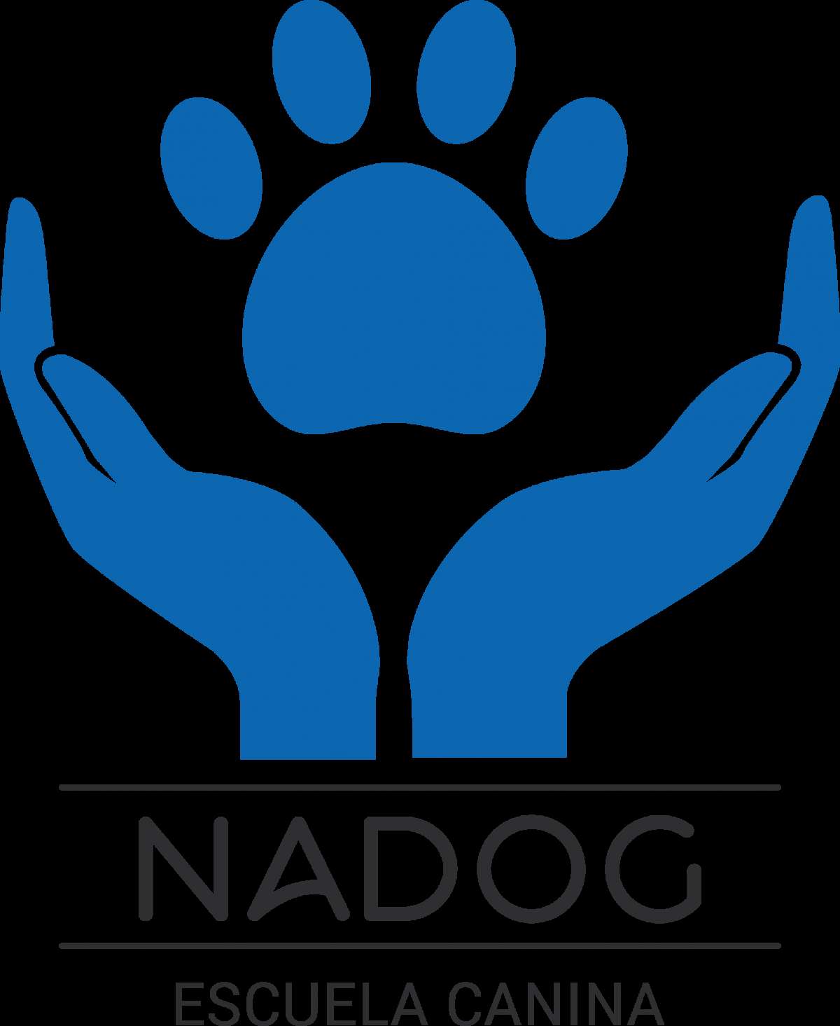 Escuela Canina NADOG - Cocentaina - Modificación del comportamiento animal