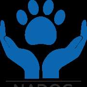 Escuela Canina NADOG - Cocentaina - Modificación del comportamiento animal