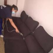 Rf professional clening - Xirivella - Poda y mantenimiento de árboles