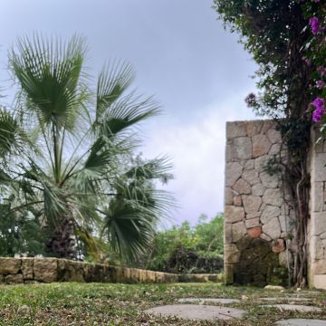 Ji Multiservicios - Eivissa - Semeadura