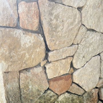 Ji Multiservicios - Eivissa - Remoção de Tronco de Árvore