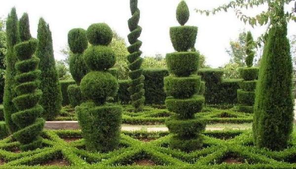 BosQum Jardineria - Bilbao - Semeadura